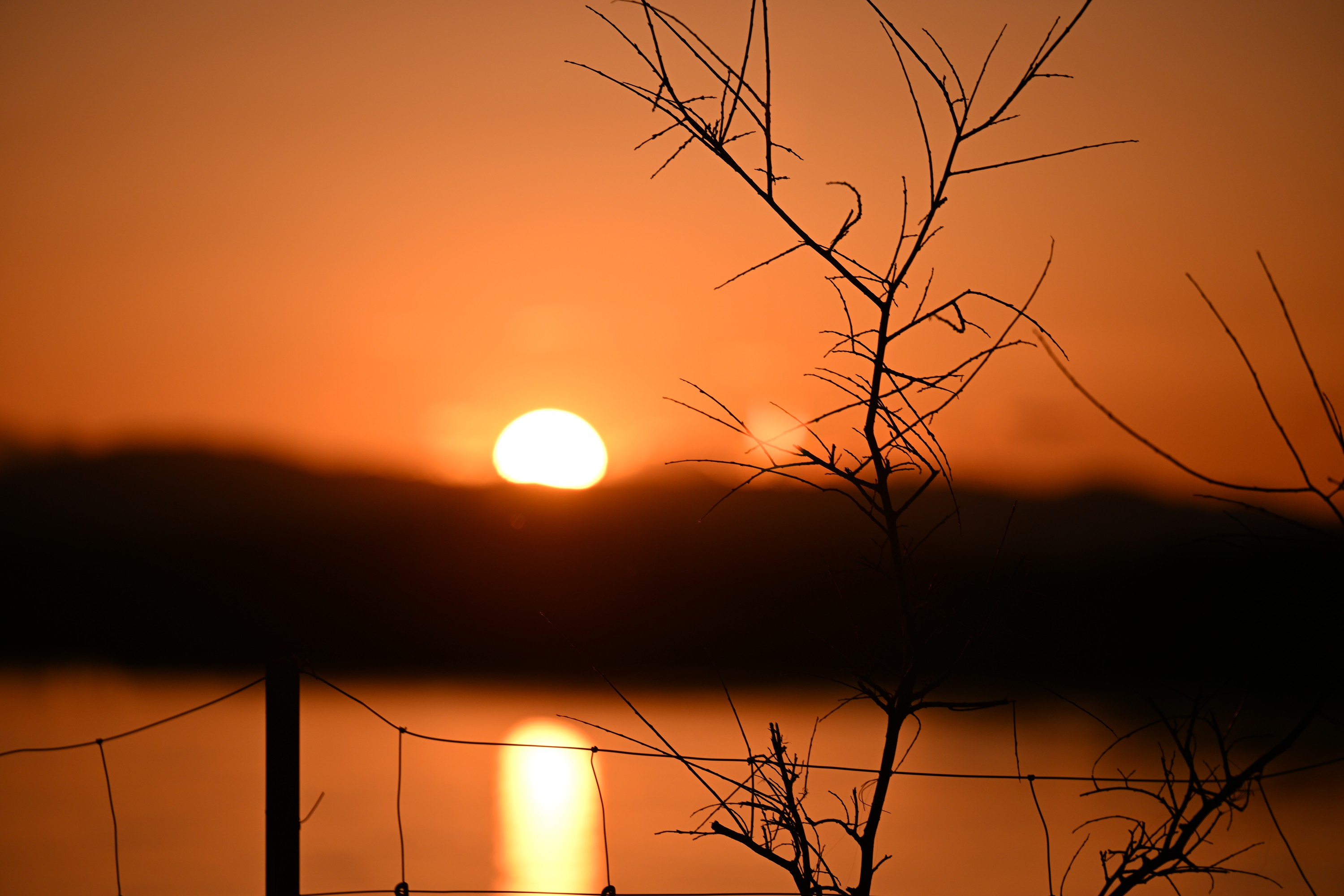 The setting sun over a still lake, framed by bare branches